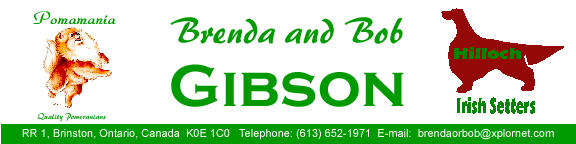 Brenda & Bob Gibson, Pomeranians and Irish Setters