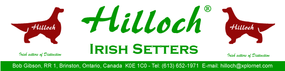 Hilloch Reg'd